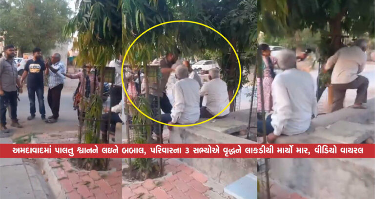 અમદાવાદમાં પાલતુ શ્વાનને લઇને બબાલ, પરિવારના 3 સભ્યોએ વૃદ્ધને લાકડીથી માર્યો માર, વીડિયો વાયરલ અમદાવાદમાં પાલતુ શ્વાનને લઇને બબાલ, પરિવારના 3 સભ્યોએ વૃદ્ધને લાકડીથી માર્યો માર, વીડિયો વાયરલ
